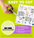 Premium Printable Vinyl Sticker Paper - Image 5