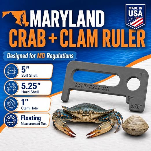 Crab Measurement Tool for MD Blue Crabs and Clams | Regulation Soft Shell - Image 2