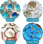 20PCS Natural Scallop Shells for Crafts & Baking - Image 6