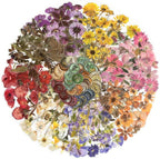 Yoksas Pressed Flower Wax Seal Stickers Set by YOKSAS