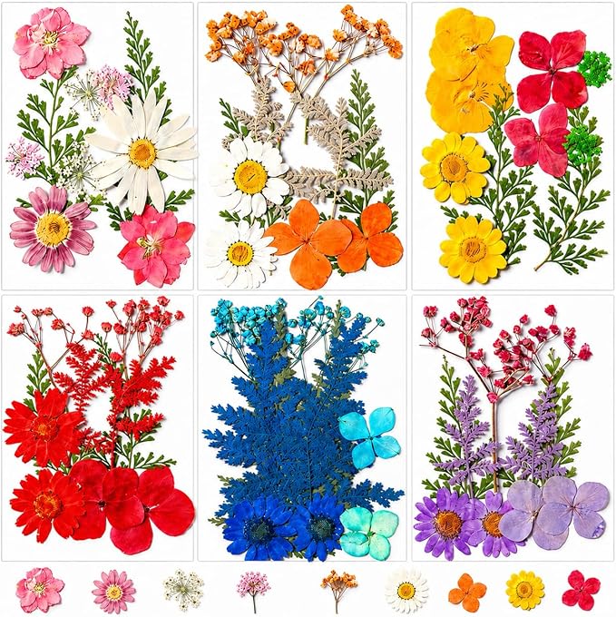 155 pcs Dried Flowers for Resin, Natural Flowers and Leaves Kit by Unknown