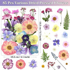 85Pcs Pressed Flowers for Crafts, DIY Art, Candle & Soap Making w/ Tweezer - Image 2