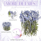 Wavwavw 50 Pcs Pressed Dried Lavender Flowers Stems Natural Preserved Real - Image 3