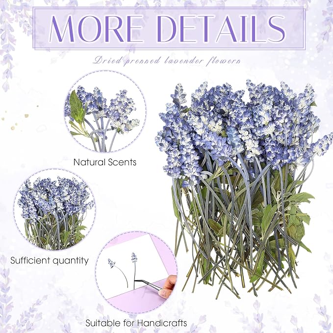 Wavwavw 50 Pcs Pressed Dried Lavender Flowers Stems Natural Preserved Real - Image 3