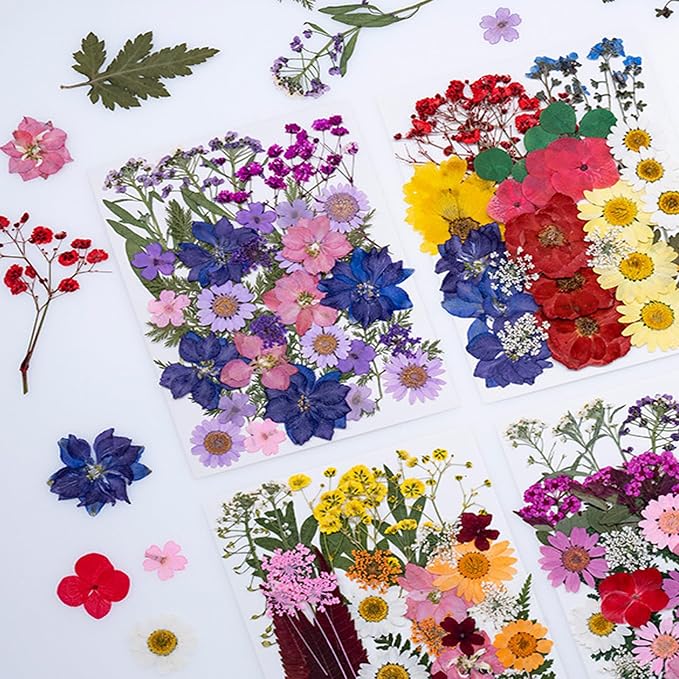 35Pcs Dried Pressed Flowers for Resin DIY Art Crafts Natural Dry Floral Daisy - Image 4
