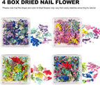 4 Boxes 3D Dried Flowers for Nails, Mini Dried Flowers Nail Stickers Decals | - Image 2