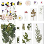 BIHRTC 100PCS Dried Flowers for Resin Real Dry Flower Natural Pressed Died - Image 3