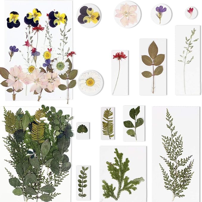 BIHRTC 100PCS Dried Flowers for Resin Real Dry Flower Natural Pressed Died - Image 3