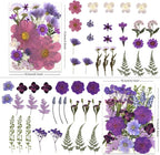 LUXEEASE 100P Purple Dried Pressed Flowers | Dusty mauve shades, big to tiny - Image 3