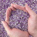 0.5 Lb/230g Amethyst Crystal Chips Bulk Tumbled Crushed Stones 3-5mm, Natural by EZEELAI