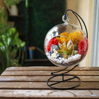 Creations by Nathalie DIY 5" DIY Globe Terrarium Kit - Image 8