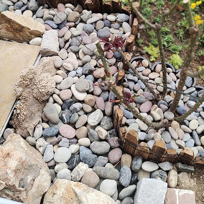 FANTIAN 20 lbs River Rocks for Plants, 1-2 Inch Decorative Pebbles Stones for - Image 6