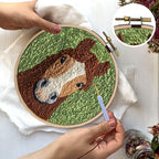 RUIQLXHANG Punch Needle Kits Adults Beginner, Cute Cartoon Highland Cow - Image 5