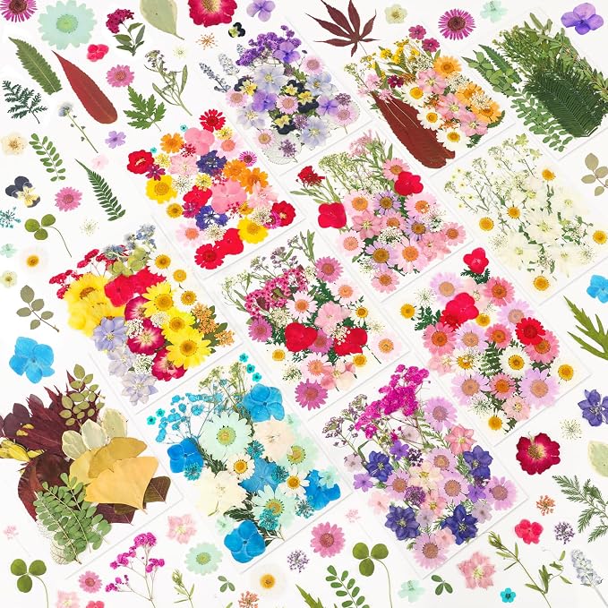 NESCCI 420 Pcs Dried Pressed Flowers by NESCCI