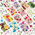 NESCCI 420 Pcs Dried Pressed Flowers by NESCCI