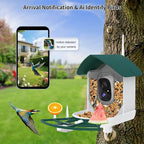 Bird Feeder with Camera, AI Identify Birds Species, Smart Birds Camera with - Image 2