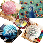 QEQEKAKA 10PCS Large Scallop Shells - Image 4
