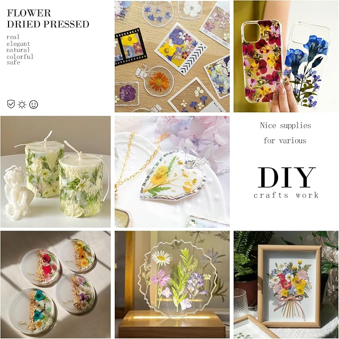 MIKIYA 88Pcs Yellow Pressed Dried Flowers - Image 4