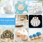 Junkin 40 Pack Natural Scallop Shells and Artificial Starfish - Image 5