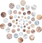 SUNNYCLUE 1 Box 60Pcs Natural Flat Round Seashells Pendant Mussel Shell Coin by SUNNYCLUE