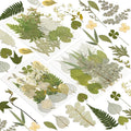 163 Pcs Dried Pressed Flowers for Resin Crafts, Real Natural Pressed Flowers by Unknown