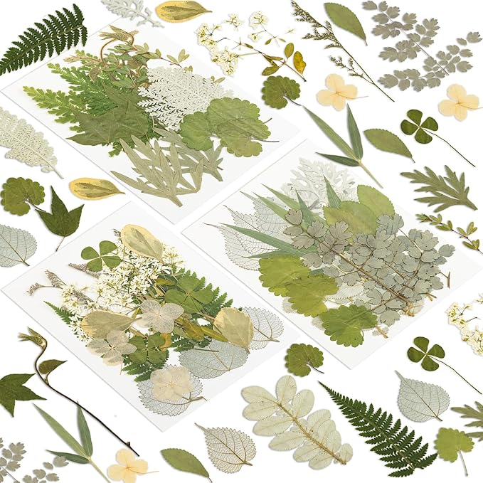 163 Pcs Dried Pressed Flowers for Resin Crafts, Real Natural Pressed Flowers by Unknown