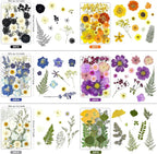 150Pcs Pressed Flowers for Crafts, Colorful Dried Flowers for Crafts Real - Image 3