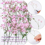 50Pcs Pink Dried Pressed Flowers - Image 3