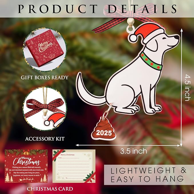 God Say You are Christian Christmas Ornament 2025, God Says I am 2D Flat - Image 2