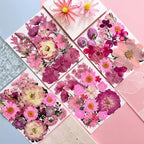 132Pcs Pink Pressed Dried Flowers and Butterfly - Image 3