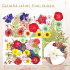 TaoBary 91 Pcs DIY Handmade Transparent Dried Flower Bookmark Set Include - Image 4