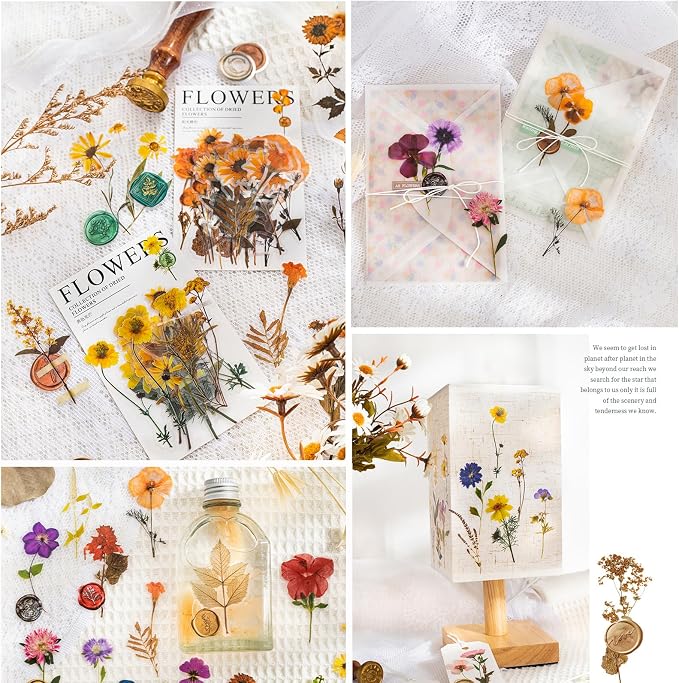Yoksas Pressed Flower Wax Seal Stickers Set - Image 5