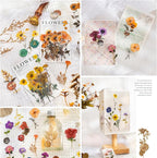 Yoksas Pressed Flower Wax Seal Stickers Set - Image 5