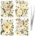 100pcs White and Light Yellow Dried Pressed Flowers Bulk, Natural Fall Pressed by LGFMGWH