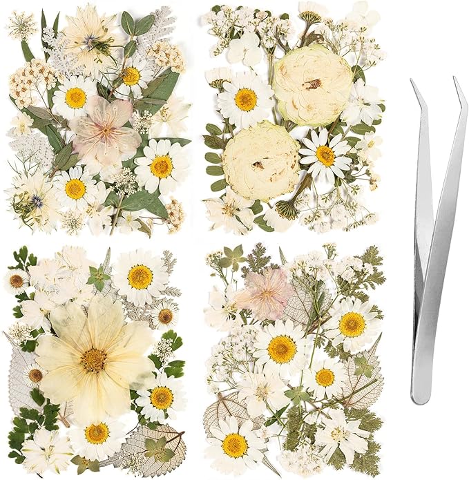 100pcs White and Light Yellow Dried Pressed Flowers Bulk, Natural Fall Pressed by LGFMGWH