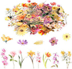 80 Pieces Natural Scrapbooking Stickers, Self-Adhesive Flower Stickers by Pengxiaomei