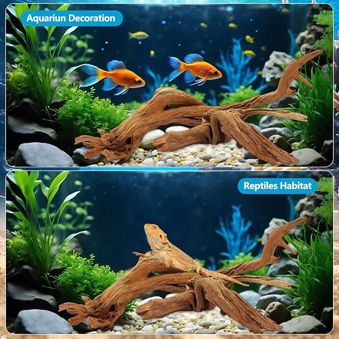 2 Pcs Natural Large Driftwood for Aquarium, Aquarium Driftwood Freshwater 12-16 - Image 4