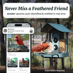 Kiwibit Smart Bird Feeder with Camera Solar Powered, 4K Video Live Stream - Image 4