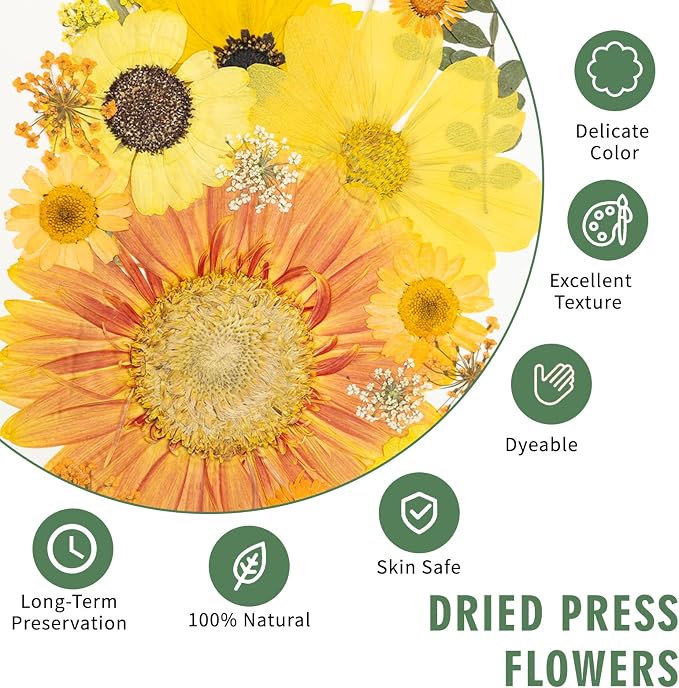 186 Pcs Dried Pressed Flowers for Resin Crafts, Real Natural Pressed Flowers - Image 3