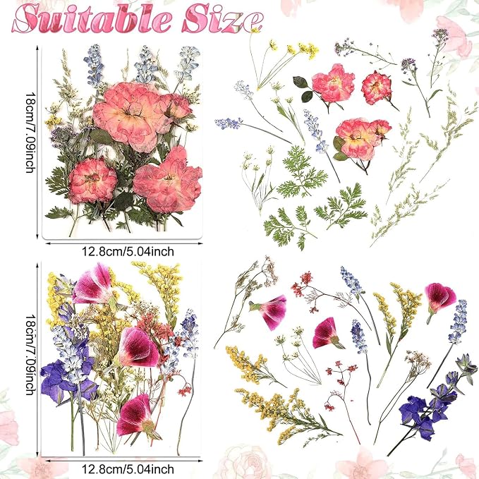 Nuanchu Dried Flower for Crafts Resin Pressed Flowers Bulk Dried Wildflowers - Image 3