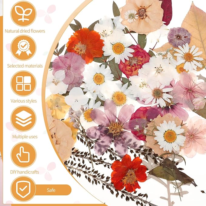 100 Pcs Dried Pressed Flowers, Real Natural Dried Wildflowers Leave - Image 2