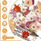 100 Pcs Dried Pressed Flowers, Real Natural Dried Wildflowers Leave - Image 2
