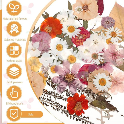 100 Pcs Dried Pressed Flowers, Real Natural Dried Wildflowers Leave - Image 2