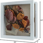 Freezing point Shadow Box Frame 10x10 Shadow Boxes Display Case - Image 5