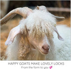 Kid Mohair Locks. Organic Hand Dyed Premium Wool Fiber - Image 7