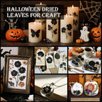 DALARAN Black Dried Pressed Flowers - Image 3