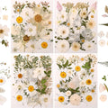 110+PCS Pressed Flowers for Resin, Colorful-i | Real Dried Flower Leaves by nisetten