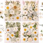 110+PCS Pressed Flowers for Resin, Colorful-i | Real Dried Flower Leaves by nisetten