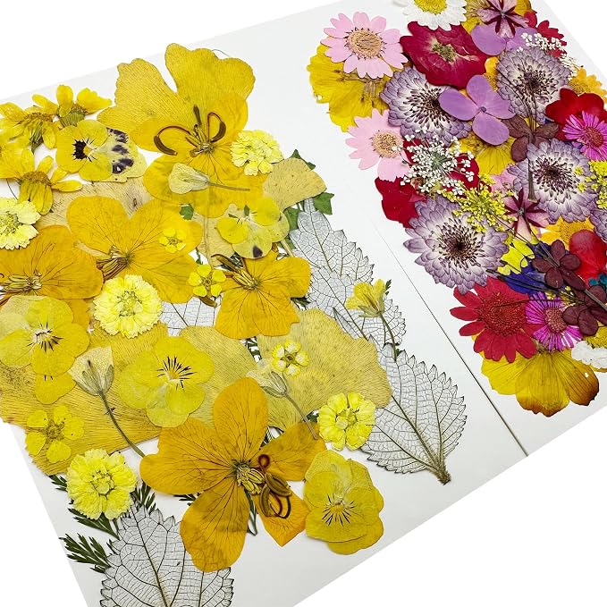 Woohome 200 PCS Natural Dried Pressed Flowers and Natural Dried Pressed Leaves - Image 2