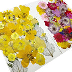 Woohome 200 PCS Natural Dried Pressed Flowers and Natural Dried Pressed Leaves - Image 2